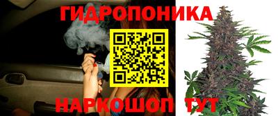 дмт Гусев