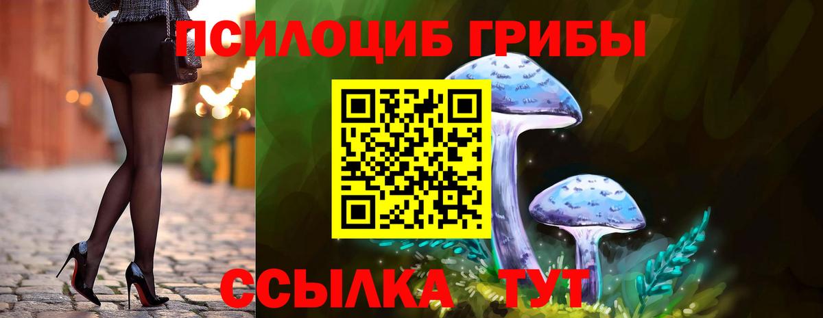 Псилоцибиновые грибы мицелий Гатчина
